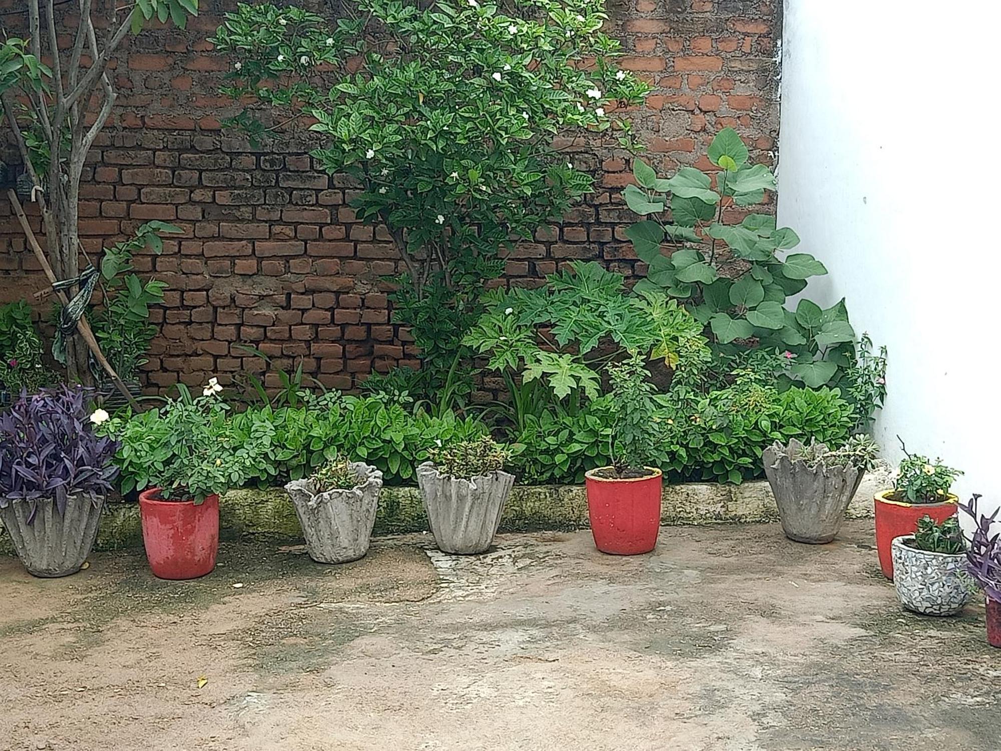 Khajuraho Rancho公寓 外观 照片