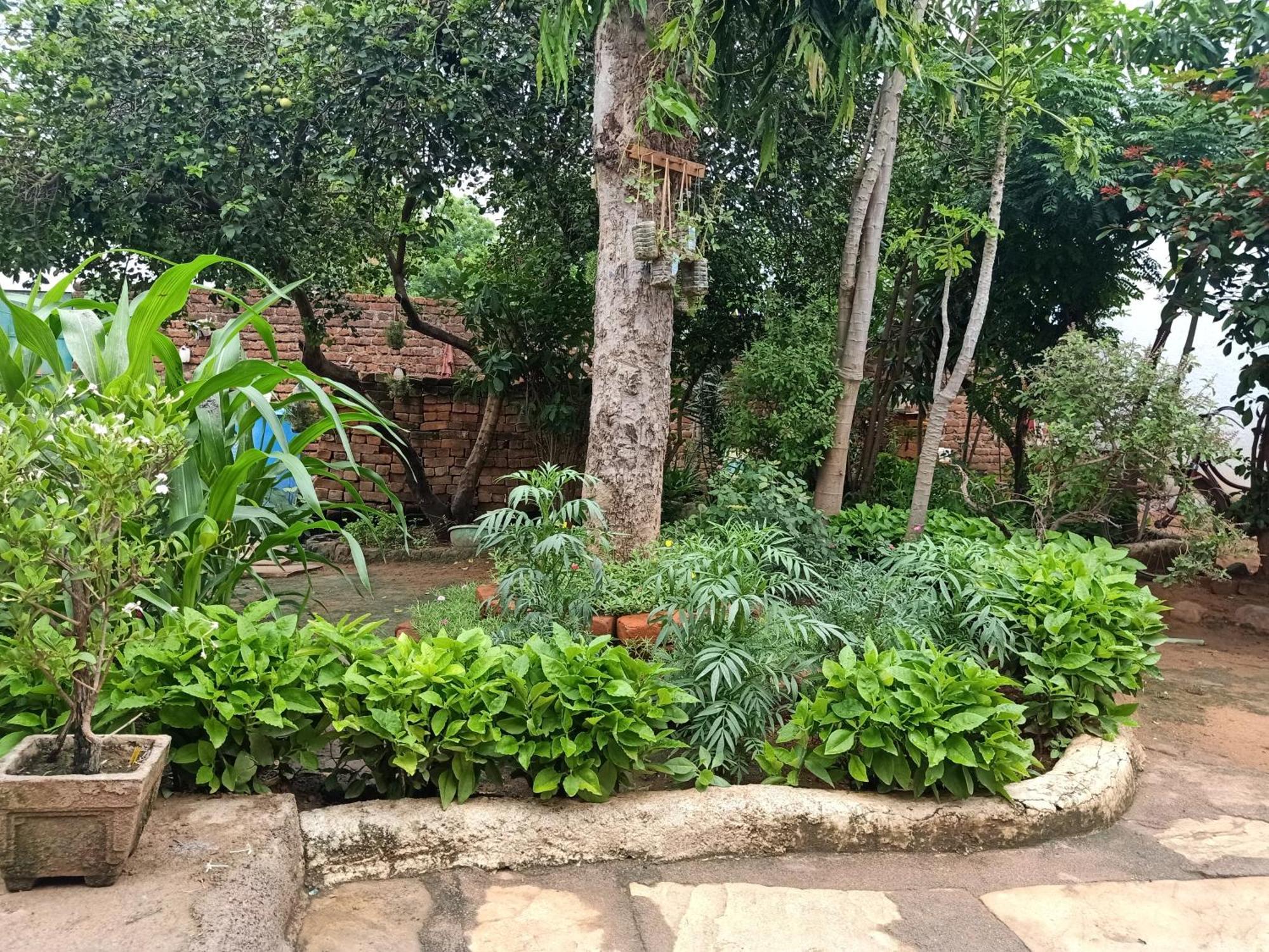 Khajuraho Rancho公寓 外观 照片