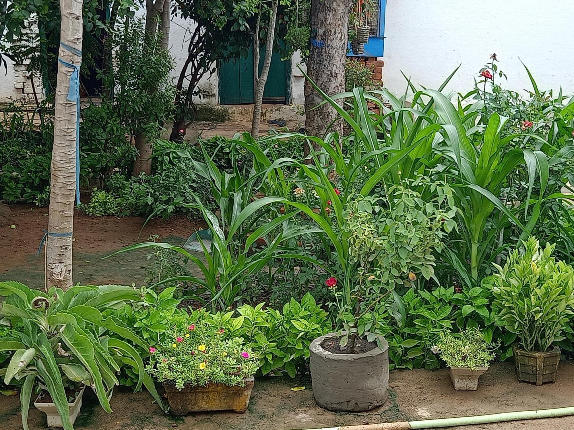 Khajuraho Rancho公寓 外观 照片