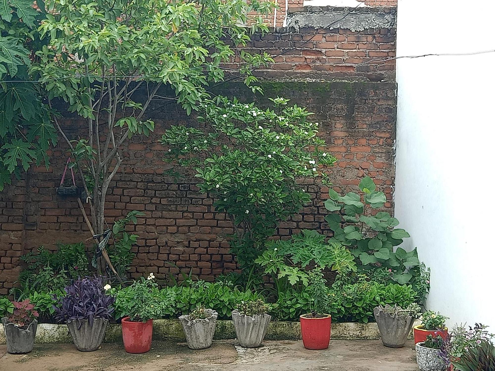 Khajuraho Rancho公寓 外观 照片