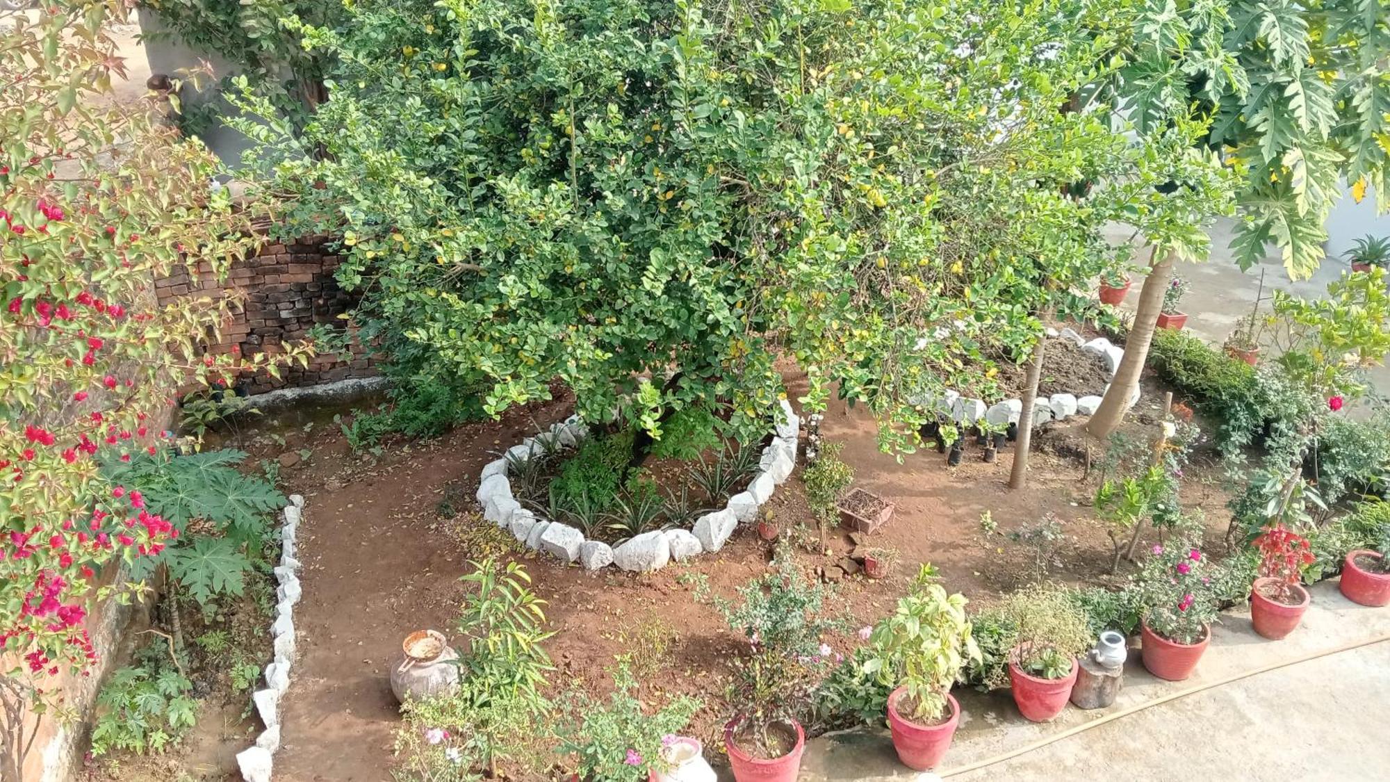 Khajuraho Rancho公寓 外观 照片