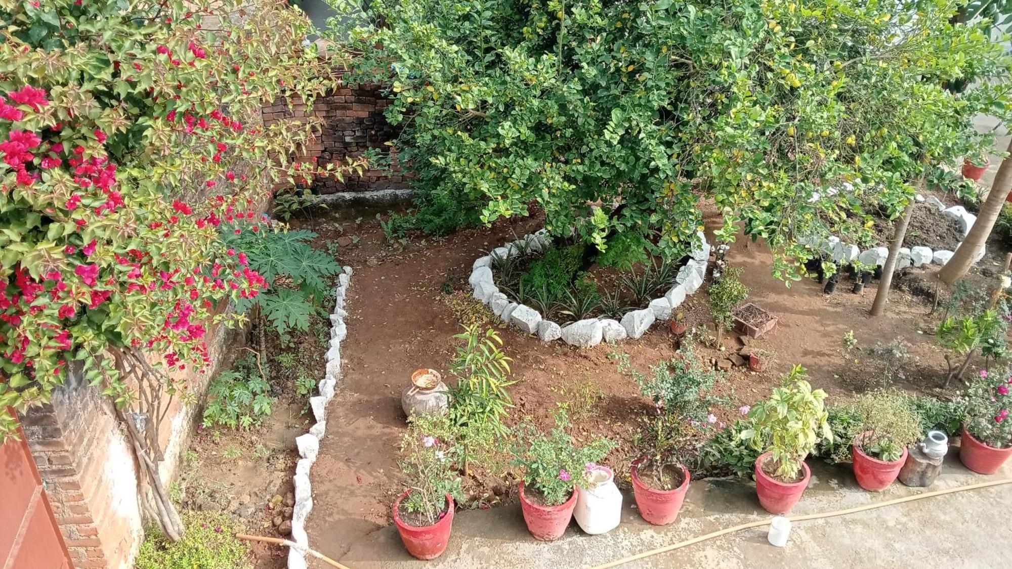 Khajuraho Rancho公寓 外观 照片